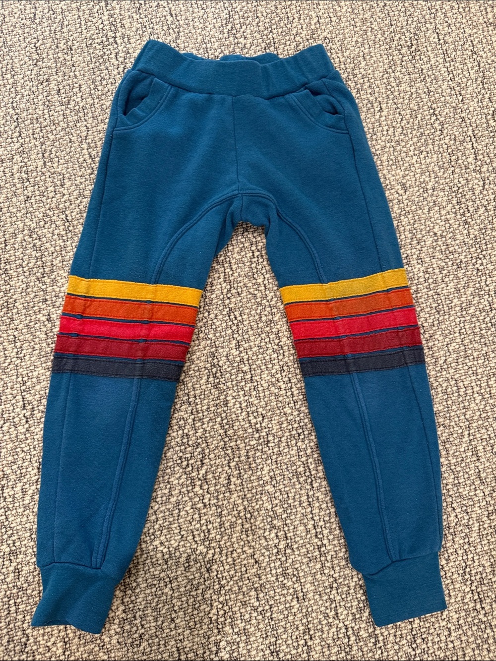 Aviator Nation Teal Kids Sweatpants with Multicolor Stripes